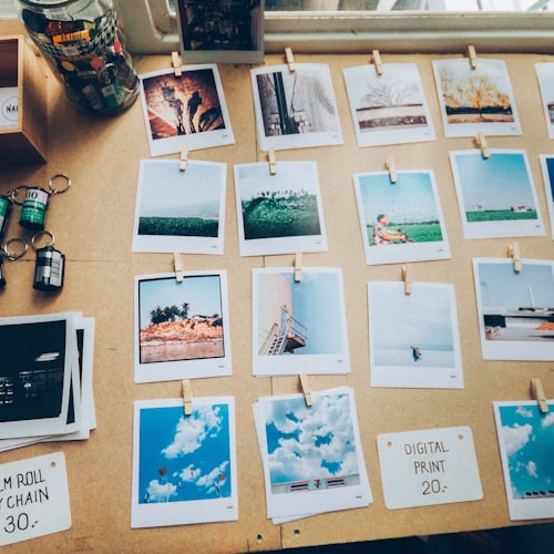 Greeting Cards with Nature Prints