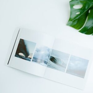 Wildlife Photography Collection